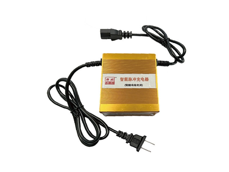 鉛酸電池專(zhuān)用：養(yǎng)護(hù)型/修復(fù)型